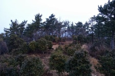 뽐뿌:등산포럼 - [거북이등산대] 2/27일 여수 돌산지맥 종주 [거북이등산대] 2/27일 여수 돌산지맥 종주