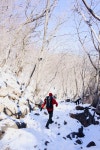 1 설악산, 토왕성폭포 돌아보기(소공원~비룡폭포~토왕성폭포~소공원) 16. 3. 1 설악산, 토왕성폭포 돌아보기(소공원~비룡폭포~토왕성폭포... 