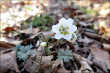뽐뿌:등산포럼 - 풍도 사진몇장.. 풍도 사진몇장..