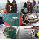 뽐뿌:낚시포럼 - 바다낚시 시즌이 다가오는군요 바다낚시 시즌이 다가오는군요