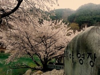 뽐뿌:캠핑포럼 - 벽계야영장 후기 남겨요. 4월1일~4일 벽계야영장 후기 남겨요. 4월1일~4일