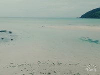 전주, 영광해안도로, 목포야경 사진들 올리겠습니다^^ 125전국일주! 전주, 영광해안도로, 목포야경 사진들 올리겠습니다^^