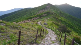 뽐뿌:등산포럼 - 16/05/28  소백산 죽고종주 (화사한 철쭉과 멋진 산그리메는 선물) 16/05/28  소백산 죽고종주 (화사한 철쭉과 멋진... 