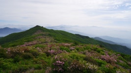 뽐뿌:자유갤러리 - 소백 죽고1 소백 죽고1