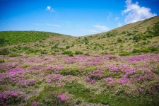 뽐뿌:등산포럼 - 한라산 돈내코~영실 Teaser 한라산 돈내코~영실 Teaser