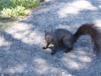 뽐뿌:사진/카메라 - 이것저것 이것저것