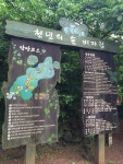 뽐뿌:등산포럼 - 제주도 비자림숲 추천합니다. (사진18장)제주도 비자림숲 추천합니다. (사진18장)