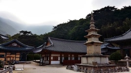뽐뿌:등산포럼 - [가지산]부산분이면 한번쯤 가봐야 할 가지산 -사진 많음- [가지산]부산분이면 한번쯤 가봐야 할 가지산 -사진 많음-