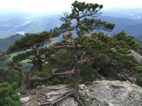 뽐뿌:등산포럼 - 여친 만나러 가는길.. 가야산 들러봤습니다... 여친 만나러 가는길.. 가야산 들러봤습니다...