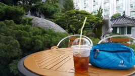 뽐뿌:등산포럼 - [근교산행] 합천 (천불산 ) 남산제1봉 (20pics) [근교산행] 합천 (천불산 ) 남산제1봉 (20pics)