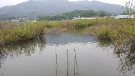 뽐뿌:낚시포럼 - 파로호 용호리 출조 파로호 용호리 출조