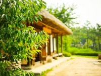 뽐뿌:사진/카메라 - 카메라 구입후 첨으로 찍어본 사진입니다 ^^ 카메라 구입후 첨으로 찍어본 사진입니다 ^^