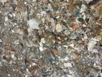 제부도로 오세요뽐뿌:캠핑포럼 - 제부도로 오세요