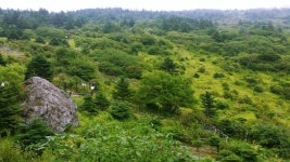 뽐뿌:등산포럼 - 20160730 지리산 일출산행1편..-거림~천왕봉~대원사-(사진20장) 20160730 지리산 일출산행1편..-거림~천왕봉~대원사... 