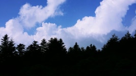 뽐뿌:등산포럼 - 20160730 지리산 일출산행1편..-거림~천왕봉~대원사-(사진20장) 20160730 지리산 일출산행1편..-거림~천왕봉~대원사... 