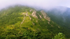 뽐뿌:등산포럼 - 20160730 지리산 일출산행1편..-거림~천왕봉~대원사-(사진20장) 20160730 지리산 일출산행1편..-거림~천왕봉~대원사... 