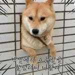 뽐뿌:직장인포럼 - 다들 아시겠지만, 엑셀(Exel) 팁 공유해봅니다 다들 아시겠지만, 엑셀(Exel) 팁 공유해봅니다