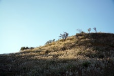 뽐뿌:등산포럼 - 명성산 억새 (데이터 주의) 명성산 억새 (데이터 주의)