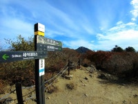 뽐뿌:등산포럼 - 10월 12일 지리산 일출산행(종주포기) 간단후기입니다. 10월 12일 지리산 일출산행(종주포기) 간단후기입니다.
