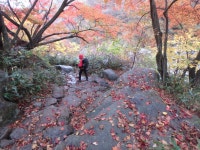 뽐뿌:등산포럼 - 2016-10-22,23 지리산 산행기(feat. 푼짱님. 사진 16장) 2016-10-22,23 지리산 산행기(feat. 푼짱님. 사진 16장)