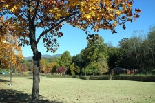 뽐뿌:캠핑포럼 - 독립기념관 야영장 다녀왔습니다. 독립기념관 야영장 다녀왔습니다.