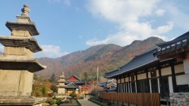 뽐뿌:등산포럼 - 운문사 사리암 만추 운문사 사리암 만추