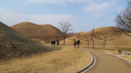 뽐뿌:여행포럼 - 경주가 나름 상업 중도시라 생각했는데 아닌가봐요.. 경주가 나름 상업 중도시라 생각했는데 아닌가봐요..