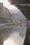 뽐뿌:사진/카메라 - 도림천 스냅 도림천 스냅