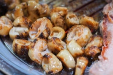 뽐뿌:자유게시판 - 1인 12900에 국내산 막창 & 삼겹살이 무한리필 1인 12900에 국내산 막창 & 삼겹살이 무한리필