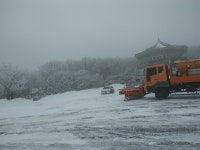 뽐뿌:자유게시판 - 어제 제주도 1100고지 휴게소어제 제주도 1100고지 휴게소