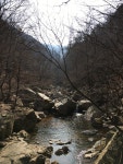 뽐뿌:등산포럼 - 주말 유명산 계곡 주말 유명산 계곡