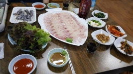 뽐뿌:자유갤러리 - 능성어.. 능성어..