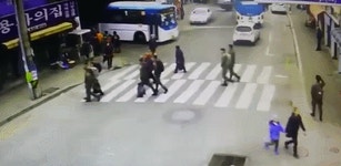 뽐뿌:자유게시판 - [심약자 주의]횡단보도 사고.gif [심약자 주의]횡단보도 사고.gif