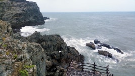 뽐뿌:등산포럼 - 한여름의 시원함..부산 이기대 바다따라 걷는 길. 한여름의 시원함..부산 이기대 바다따라 걷는 길.