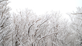 뽐뿌:등산포럼 - 30일..   조망이 없어 아쉬운 덕유여.... ㅠㅠ  [사진 많아요..^^] 30일..   조망이 없어 아쉬운 덕유여.... ㅠㅠ  [사진 많아요..^^]