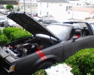 	ChevyRyderSS 1981 Buick RegalAll Trimss  Photo Gallery  at CarDomain ChevyRyderSS 1981 Buick RegalAll Trimss  Photo Gallery... 