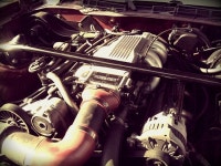 	d00012 1988 Pontiac Trans Am Specs, Photos, Modification Info at CarDomain d00012 1988 Pontiac Trans Am Specs, Photos... 