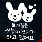 까사 CASA : 자동차스티커_엘리 토끼같은 쌍둥이 형제가 타고있어요 자동차스티커_엘리 토끼같은 쌍둥이 형제가 타고있어요 | 까사