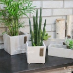                 심플 사각 시멘트화분(11X11CM) FMCD412011 심플 사각 시멘트화분(11X11CM) FMCD412011