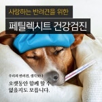                 강아지 건강검진 페틸렉시트 검사 키트[무료배송] 강아지 건강검진 페틸렉시트 검사 키트[무료배송]