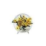                 남박사 LB534-12-행잉볼 남박사 LB534-12-행잉볼