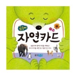                 곰돌이 자연카드 곰돌이 자연카드