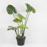 알로카시아 조화 화분 (70cm)/대형화분/대형조화[엘코컴퍼니] [후추통]대형 알로카시아 조화 화분 (70cm)/대형화분/대형조화[엘코컴퍼니]