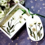                 소국석고방향제만들기(6인용)  - 33726 소국석고방향제만들기(6인용)  - 33726