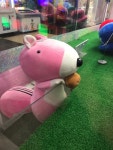 포모스 인형뽑기......비극......  인형뽑기......비극......