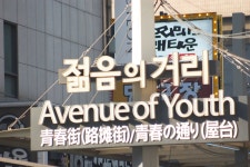 20170311 제20차 촛불집회 스압주의