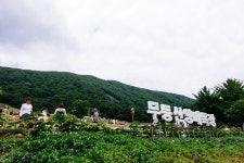 무등산 양떼목장 > 자유갤러리 | 딜바다닷컴 딜바다::무등산 양떼목장 > 자유갤러리