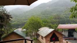 닷돈재 풀옵션캠핑장 > 자유갤러리 | 딜바다닷컴 딜바다::닷돈재 풀옵션캠핑장 > 자유갤러리