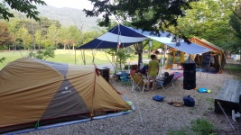 양평입니다. > 캠핑포럼 | 딜바다닷컴 딜바다::양평입니다. > 캠핑포럼