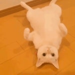 오늘 의외로 성공많이햇어욤!! > 자유게시판 | 딜바다닷컴 딜바다::오늘 의외로 성공많이햇어욤!! > 자유게시판
